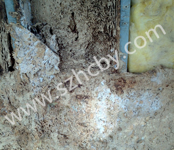 ½ݼͥb޺ôA(y)ρMݷֳ棿